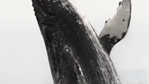 The power of nature on full display!