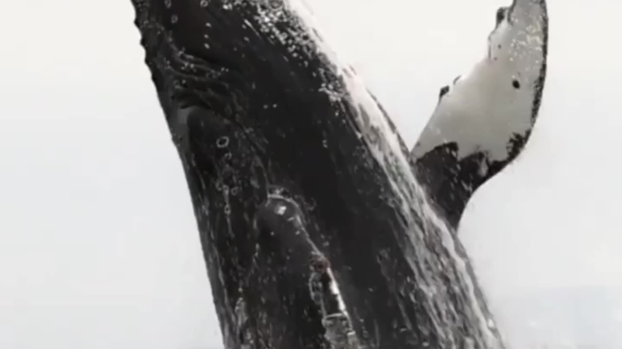 The power of nature on full display!