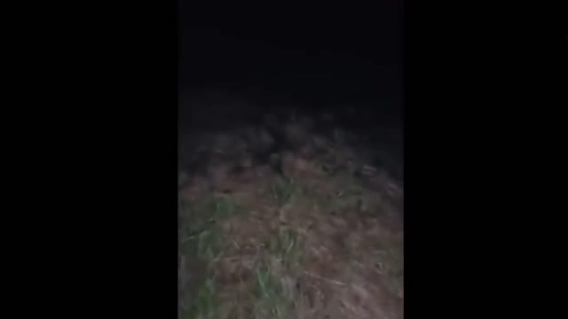 evil spirits in the forest