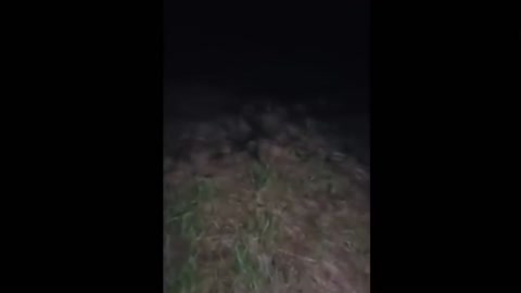 evil spirits in the forest