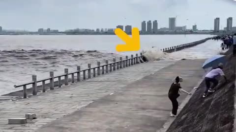 Water waves