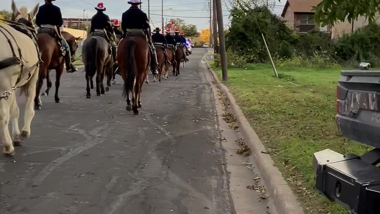 Oh my, what a beautiful Horse sight! Texas is horse town. 🐴 I love it!❤️❤️