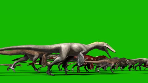 manipulating a group of dinosaurs running in a composite green screen video