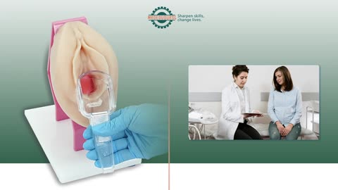 Vaginal and Pelvic Exam Training Model
