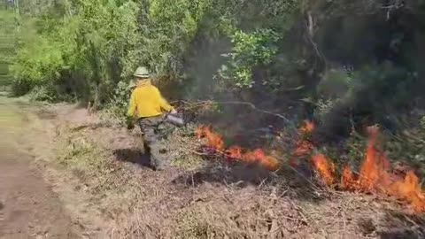 RX Burn in Florida