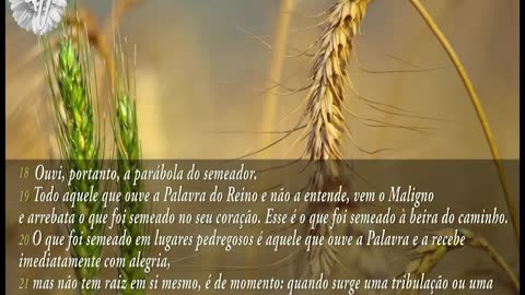 Evangelho Segundo Mateus, Capítulo 13