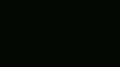 Skattie Kukrate Admits his Dogo with mark Connors 😂😂🤣