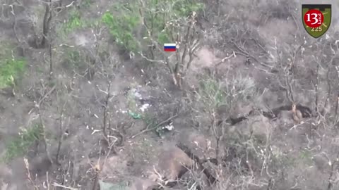 Attack of the 225th brigade with tanks and infantry - Russians flee as Ukrainian fighters chase them