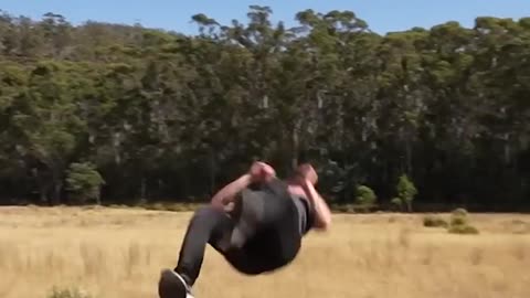 How different animals do Parkour 😂 Part 1