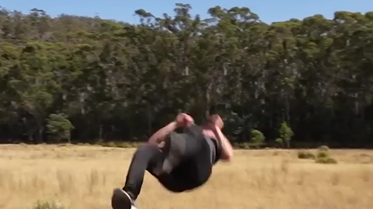 How different animals do Parkour 😂 Part 1