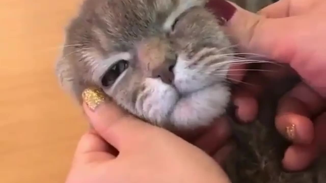 I love a good face massage, don't you?