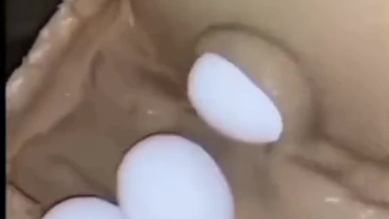 Eggs