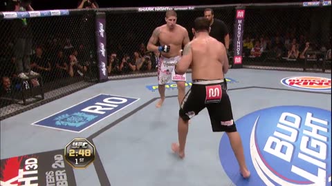 Big Nog Knocks out Brendan Schaub!