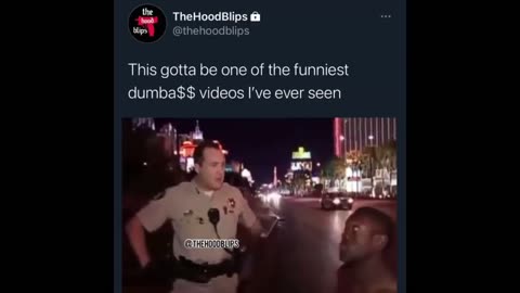 Try Not to Laugh 2023 Funny Videos!