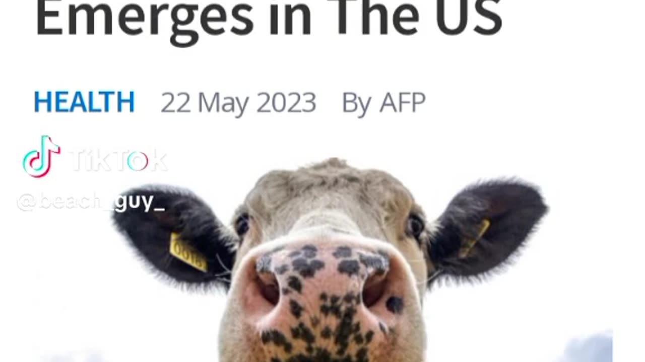 JULIE GREEN🤲 MINISTRIES WORD RECEIVED 3-30-22 MAD COW DISEASE WILL BE IN YOUR HEADLINES AFFECTING OTHER NATIONS