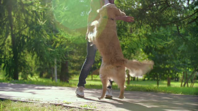 A boy playing with his dog