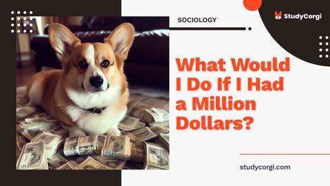 What Would I Do If I Had a Million Dollars? - Essay Example