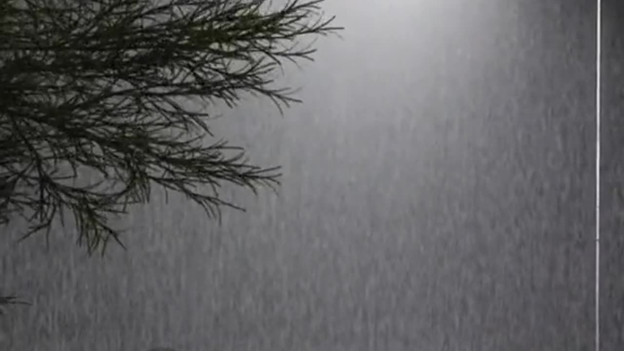 Relaxing Rainy Night: Cozy Up and Enjoy the Soothing Sounds of Rain