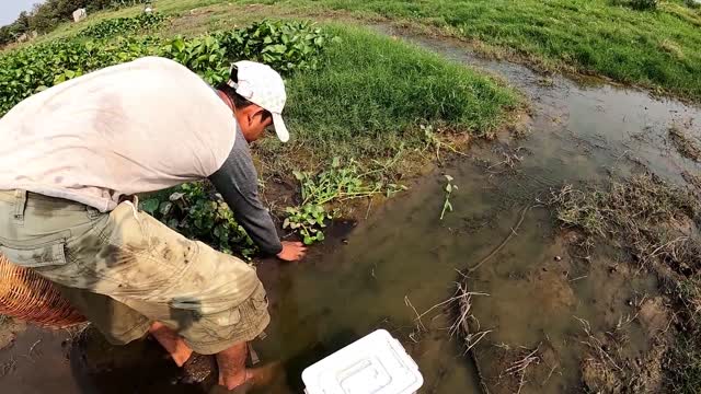 Catching beautiful fish