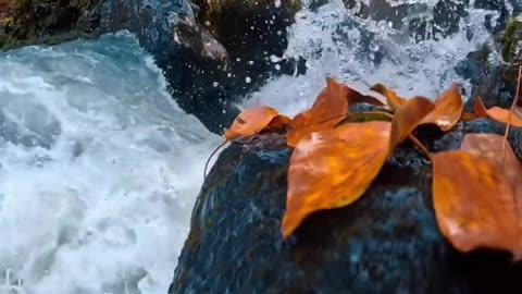 Beautiful 💕 clean water 💦