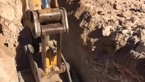 CRC vídeos curiosos