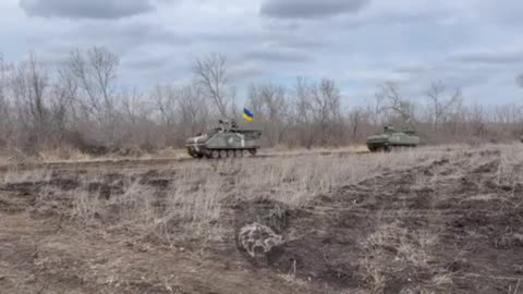 Ukrainian Armored Column on the Move