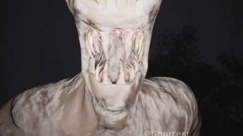 Scary wood video