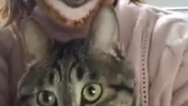 Funny Babies Laughing Hysterically At Cats Compilation ( 2022 ) 💛