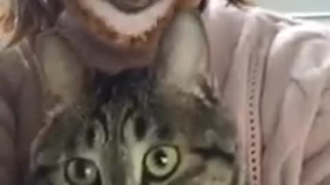 Funny Babies Laughing Hysterically At Cats Compilation ( 2022 ) 💛