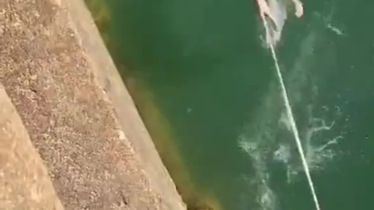 Third World Bungee Jumping