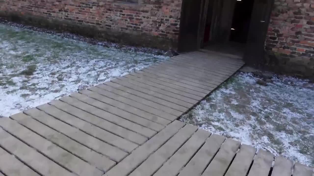 AUSCHWITZ: The Complete DISTURBING Tour | WARNING: Actual footage