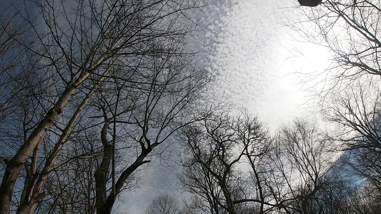 CHEMTRAILS OR A NEW TYPE OF CLOUD?