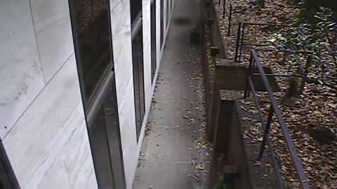 1457HSOB01GroundSoutheast_2021-01-06_13h38min49s697ms.mp4