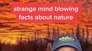 Facts about nature for you to study