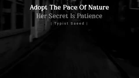 Adopt peace