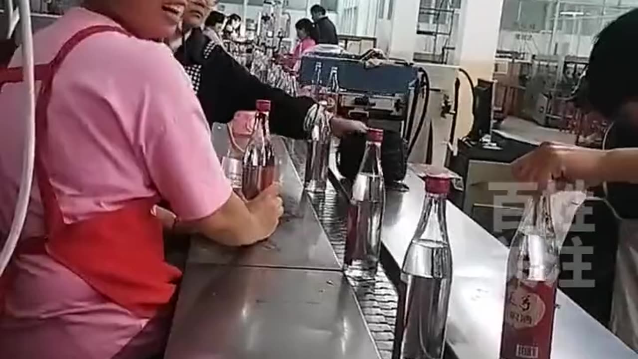 Winery workers on the production line, drinking from the bottle.酒厂工人在生产线上，对瓶喝酒。