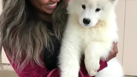 I love this dog so much