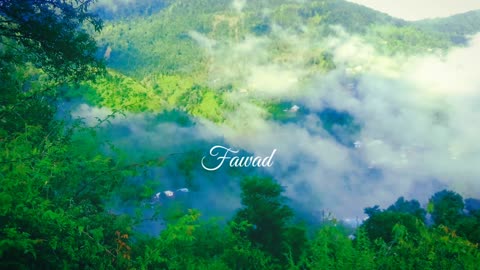 Naturevibes#foryou#naturevibes#natureediting#trending#fawadwrites#syedfawadgillani#trending