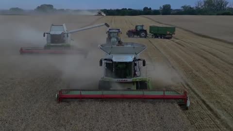 Claas Lexion v pšenici