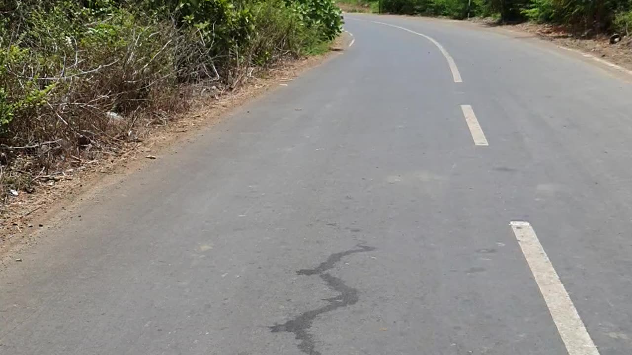 Funny bike ride