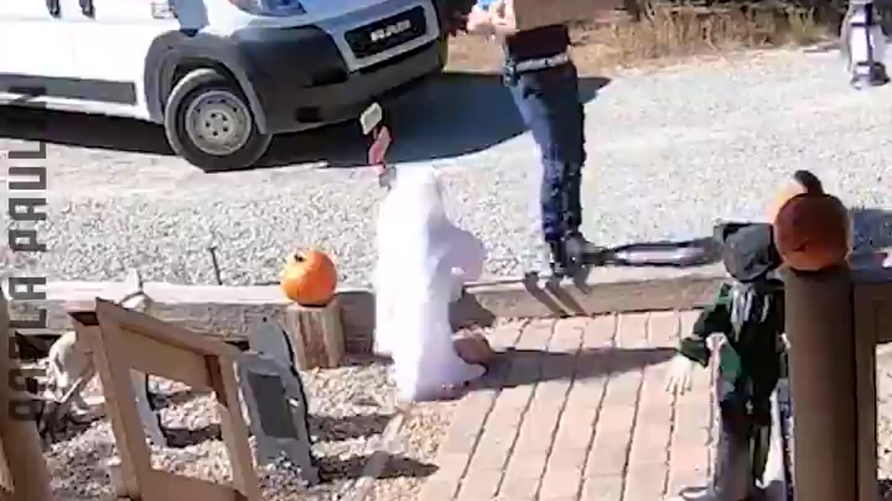 Fails You Can't Miss