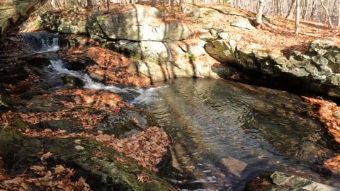 Roaring Falls