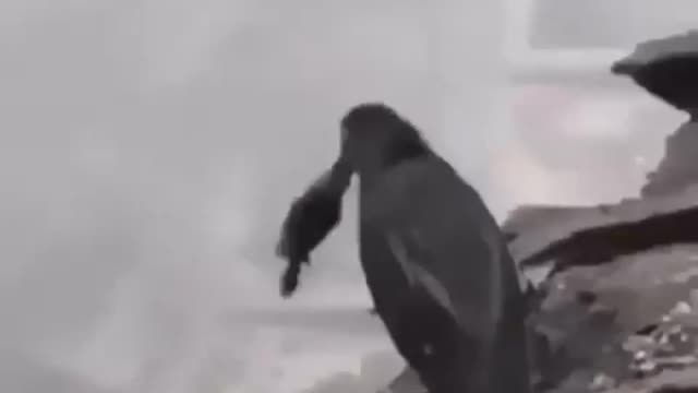 Smart bastard.
