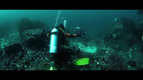 diving sport 2