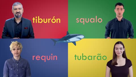 Spanish vs. Italian vs. French vs. Portuguese | Romance Languages Comparison