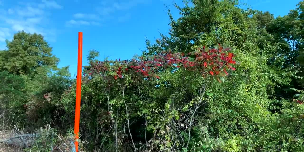 The Beauty of Peak Fall Foliage 🍁 Autumn in New England Part 1-8