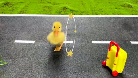 Monkey baby bon bon oes drawing duckling and Play with ducklings in the swimming pool