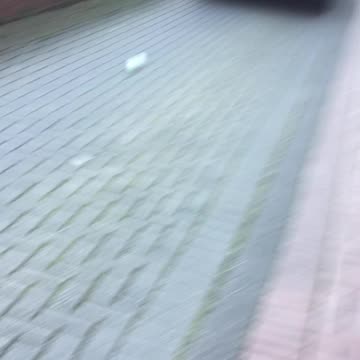 POLIZEI KILLERS OBERKASSEL. 8 EARS