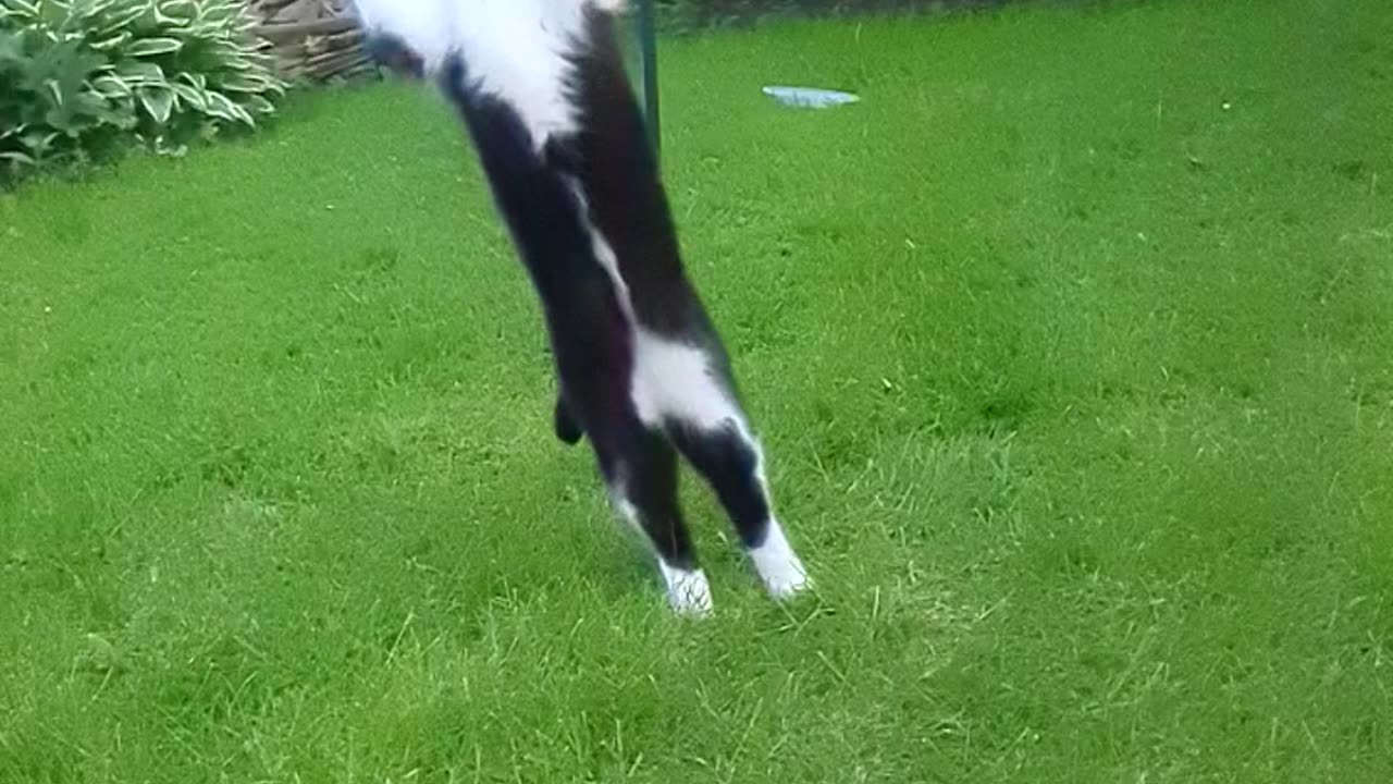 Slow-mo Loki.