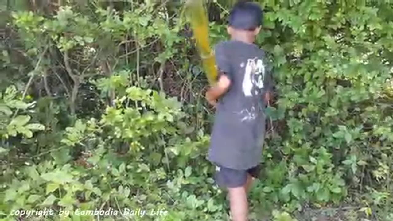 Wow! Amazing Smart Boy Catch Big Snakes Using Bamboo Pipe Trap (Part 2)